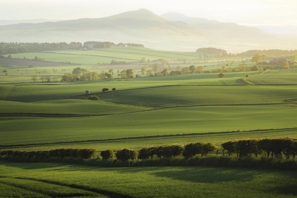 HM Land Registry selects Route 101 to modernise contact centre with AI