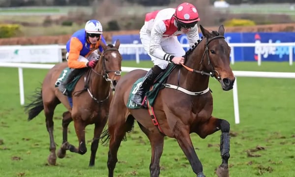 Sports betting giant achieves 50% decrease in overall customer contact with Route 101’s help