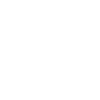 Bristian Logo 200 200