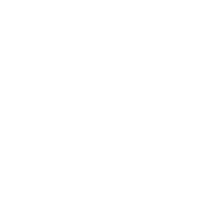 The Revel Collective Logo