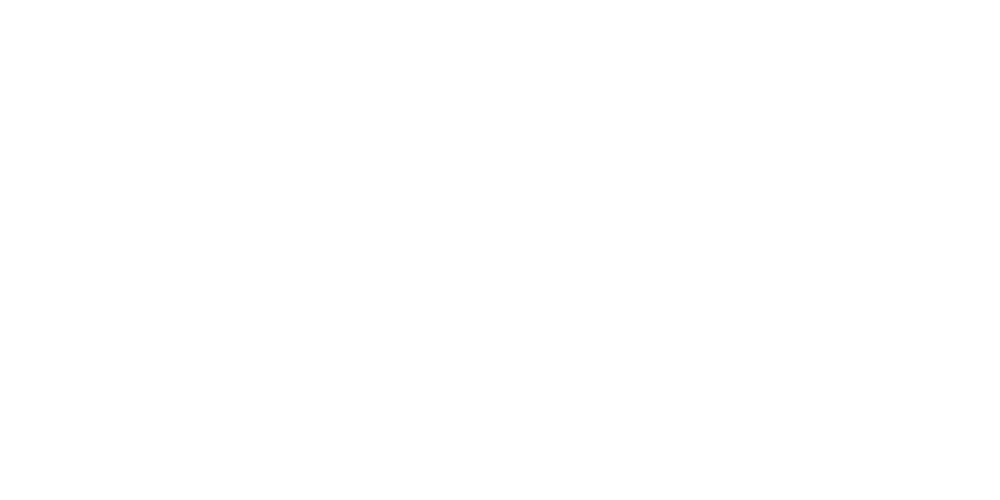 Carnival Logo Big
