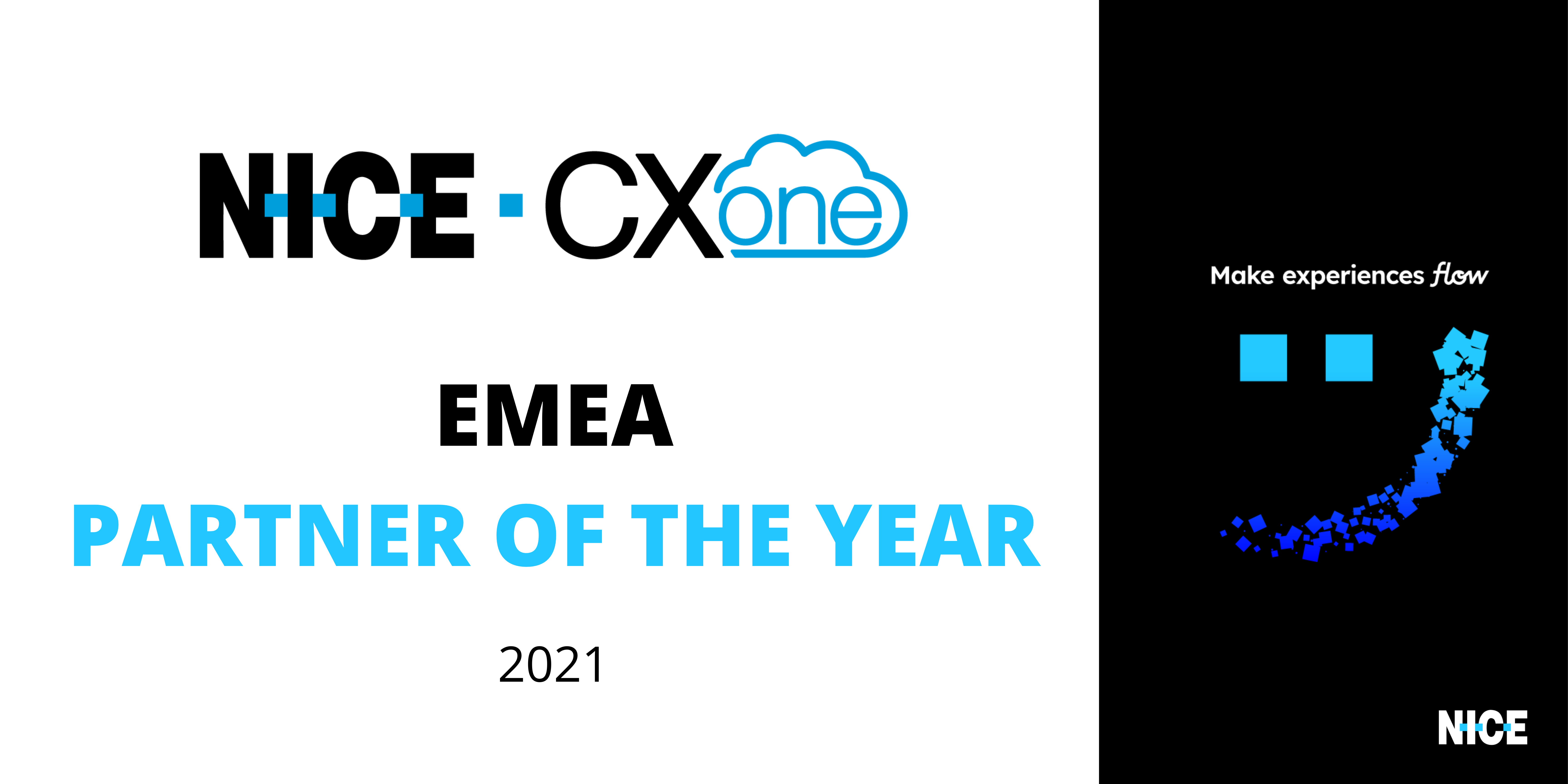 EMEA PARTNER OF THE YEAR - logo - Route101