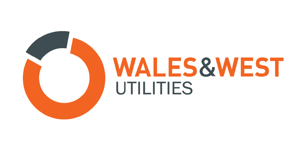 Utilities Company Take the Next Step in their Service Journey, Delivering a Continuous Omnichannel Experience  with Uninterrupted Operation logo