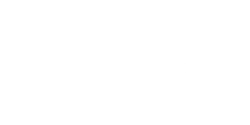 Zendesk Authorised Implementation Partner Logo